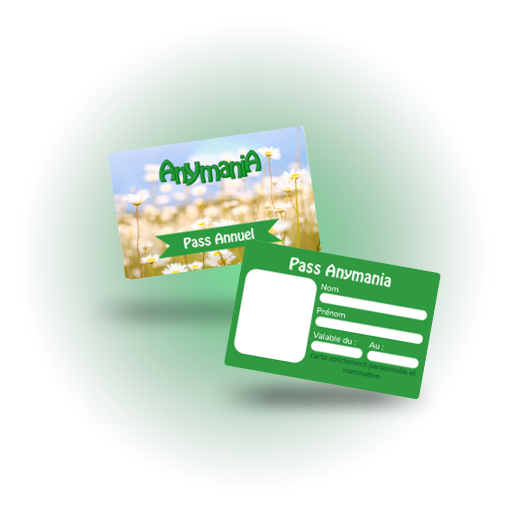 Mockup Carte Anymania