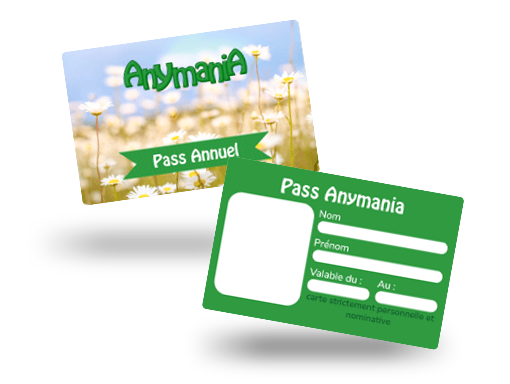 Carte Pass Annuel