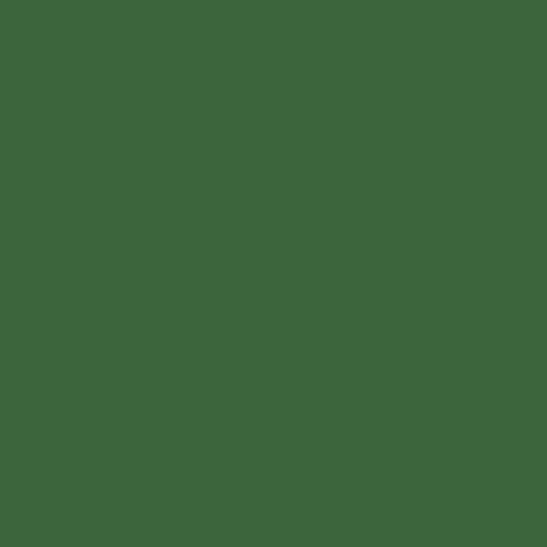 Vert foncé Palette de couleurs Nature Bois Forêt Groove Grill Salade